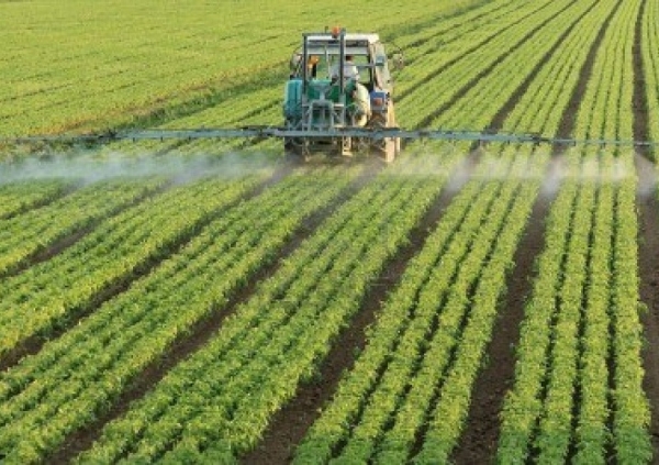 Anvisa divulga posicionamento contrário ao PL dos Agrotóxicos